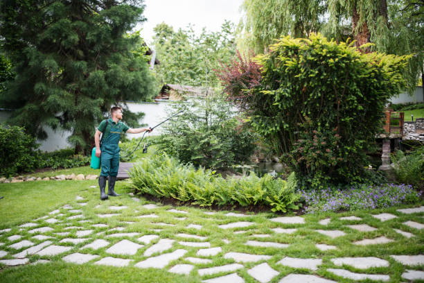 Best Lawn Irrigation Installation and Maintenance  in Amherst, TX