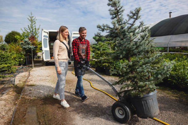 Best Firewood Processing and Delivery  in Amherst, TX